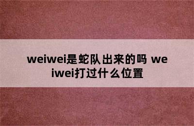 weiwei是蛇队出来的吗 weiwei打过什么位置